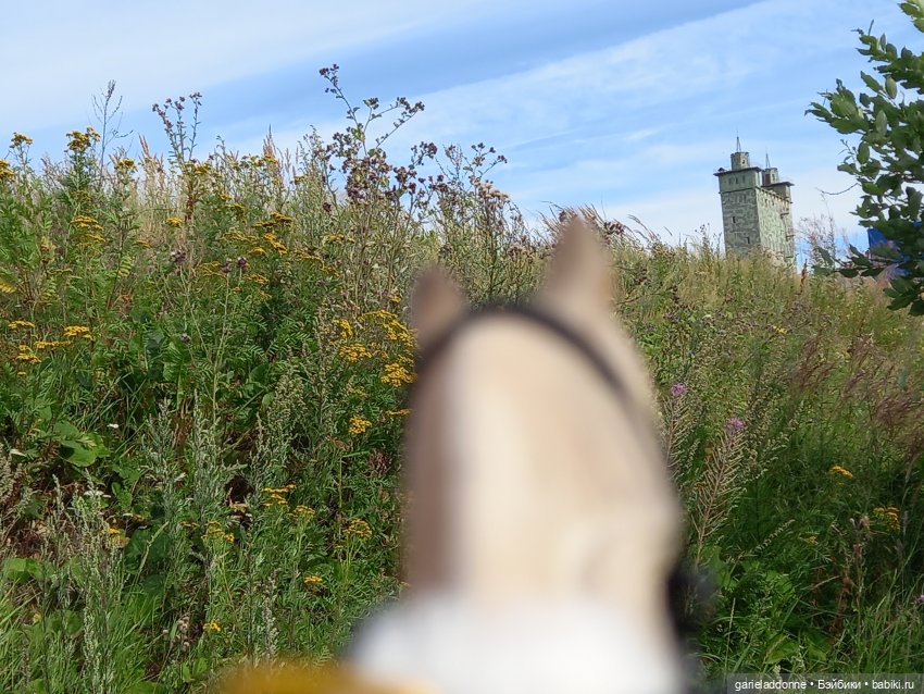 Вдоль Канала на Тирусе — Зарисовки из кукольной жизни: фотоистории