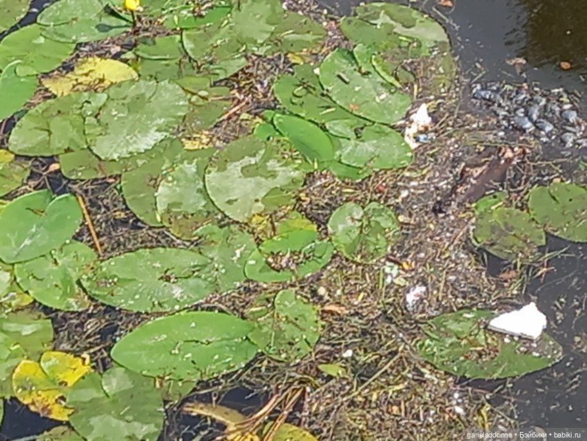 Вдоль Канала на Тирусе — Зарисовки из кукольной жизни: фотоистории