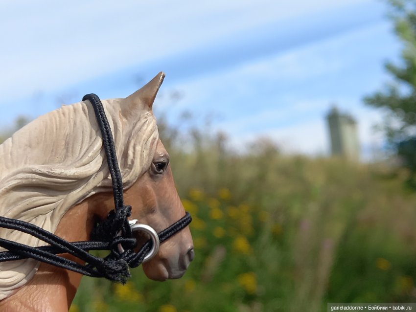 Вдоль Канала на Тирусе — Зарисовки из кукольной жизни: фотоистории