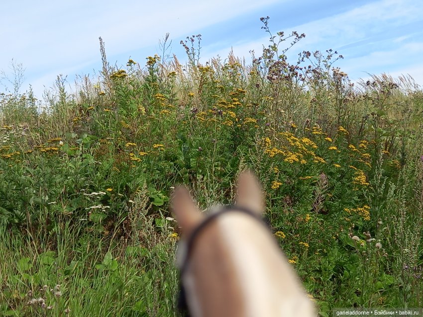 Вдоль Канала на Тирусе — Зарисовки из кукольной жизни: фотоистории