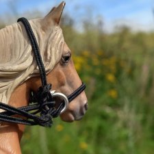 Вдоль Канала на Тирусе