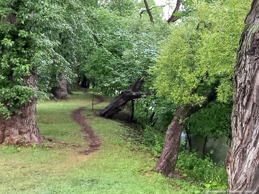 Похититель быков (продолжение) (фото 4)