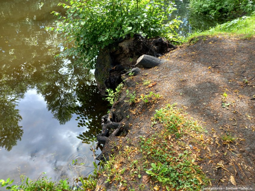 Похититель быков (продолжение)