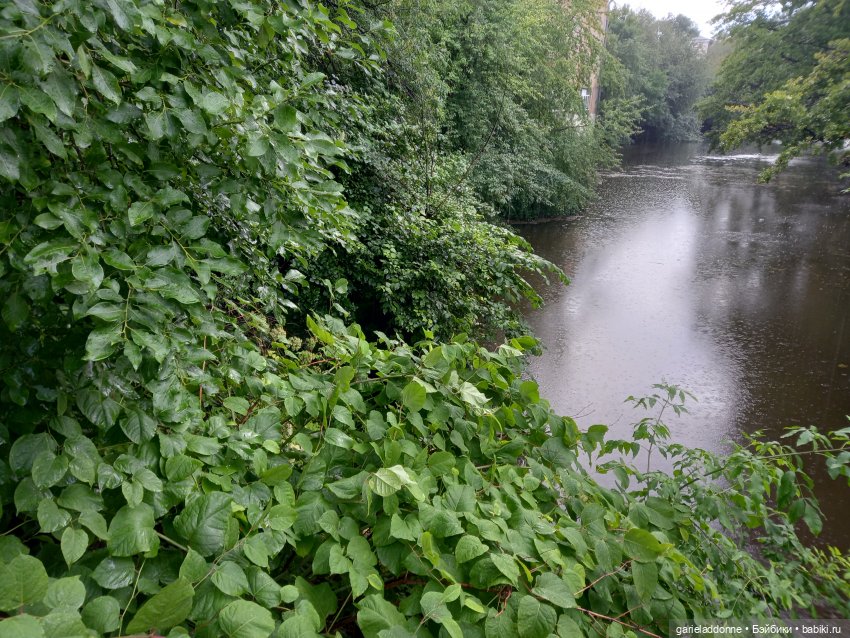 Похититель быков (продолжение) (фото 6)