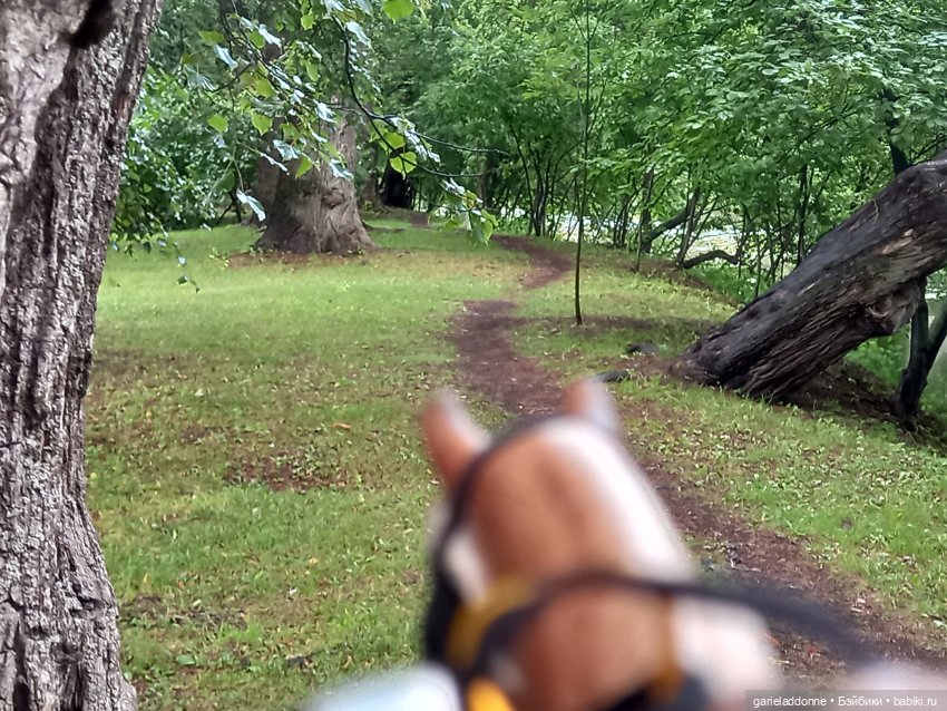 Похититель быков (продолжение) (фото 8)