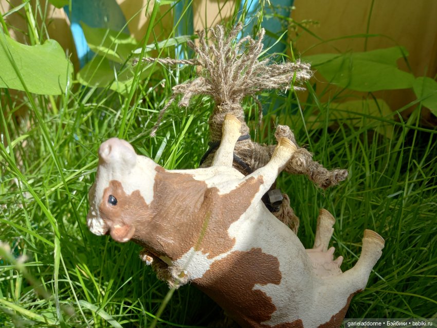 Похититель быков — Зарисовки из кукольной жизни: фотоистории