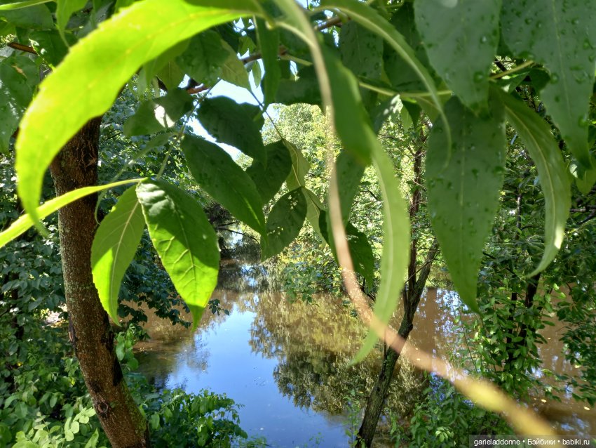 Похититель быков (продолжение)