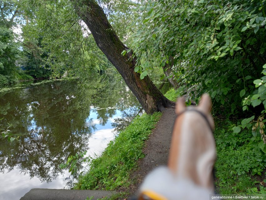 Похититель быков (продолжение)