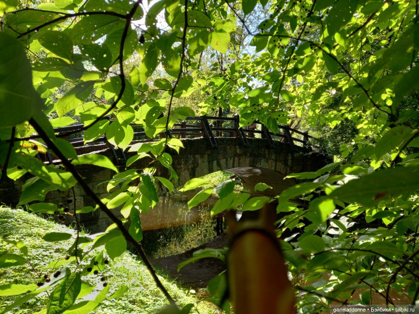 Похититель быков (продолжение)