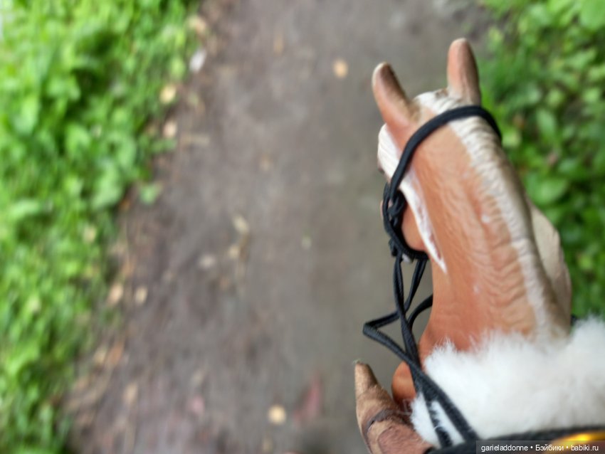 Похититель быков (продолжение)