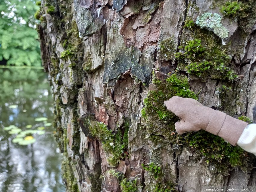 Похититель быков (продолжение)