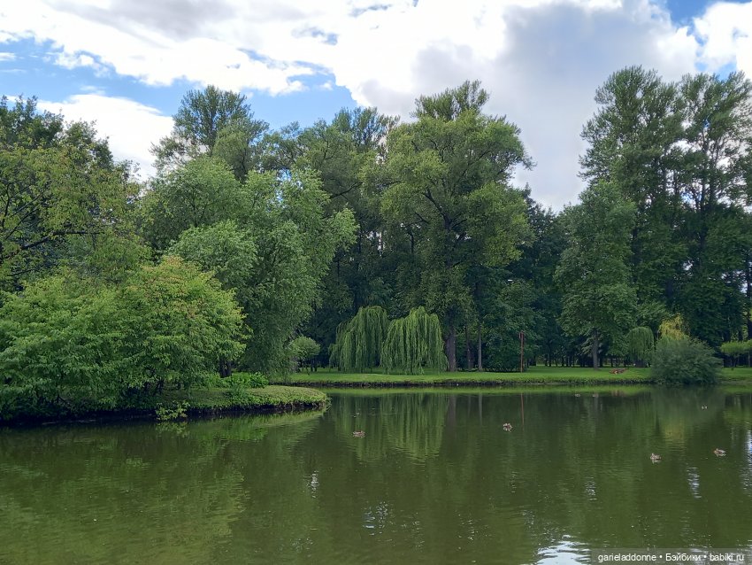 Похититель быков (продолжение) (фото 9)