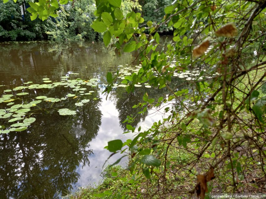 Похититель быков (продолжение)