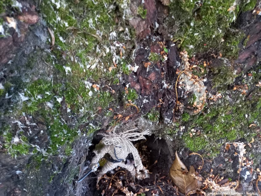 Похититель быков (продолжение)