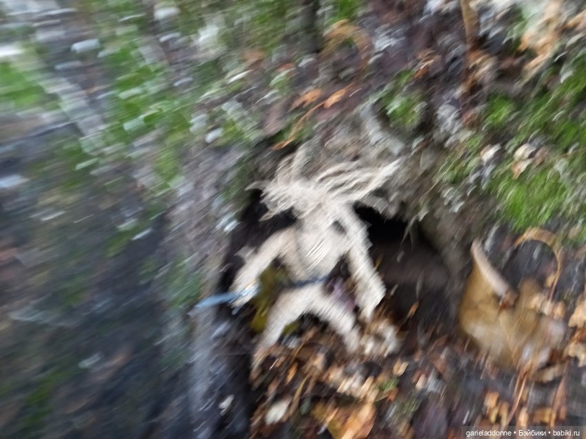 Похититель быков (продолжение)