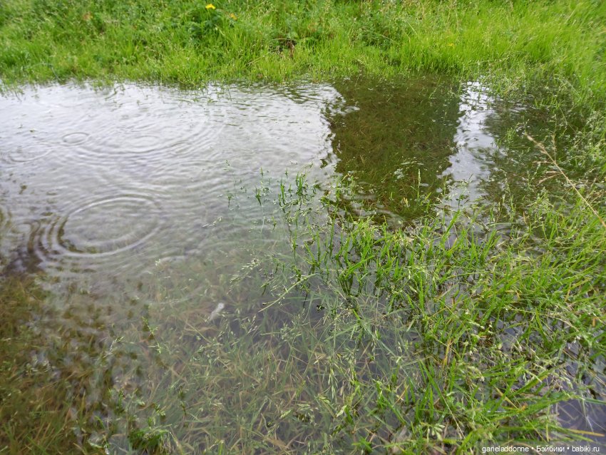 Похититель быков (продолжение) (фото 3)