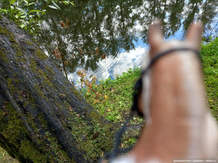 Похититель быков (продолжение)