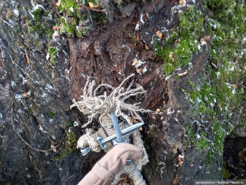 Похититель быков (продолжение)