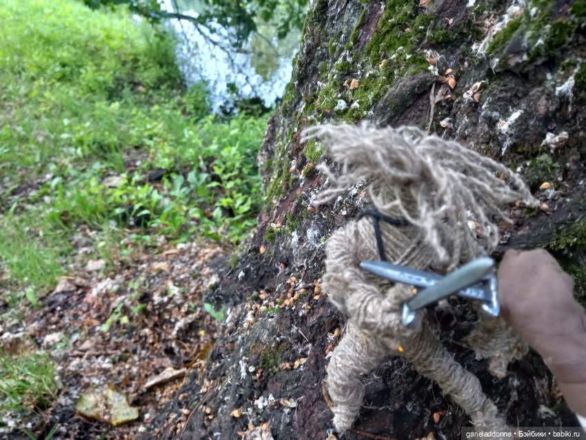 Похититель быков (продолжение)