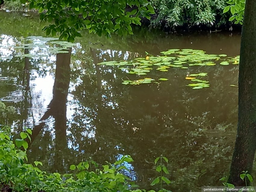 Похититель быков (продолжение) (фото 7)