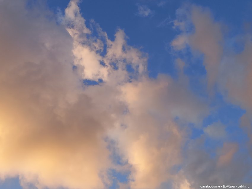 Похититель быков — Зарисовки из кукольной жизни: фотоистории