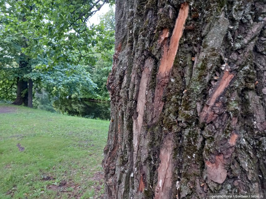 Похититель быков (продолжение)