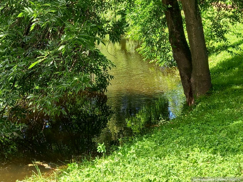 Похититель быков (продолжение)