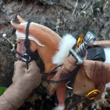 Похититель быков (продолжение)