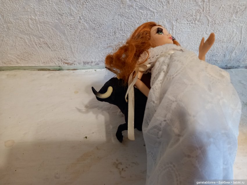 Зверь из Туанки — Зарисовки из кукольной жизни: фотоистории