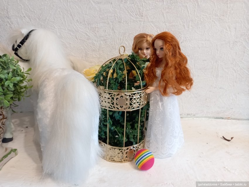 Зверь из Туанки — Зарисовки из кукольной жизни: фотоистории