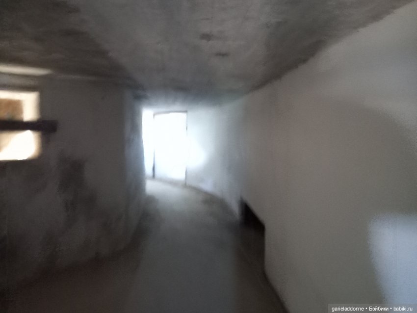 Зверь из Туанки (продолжение)