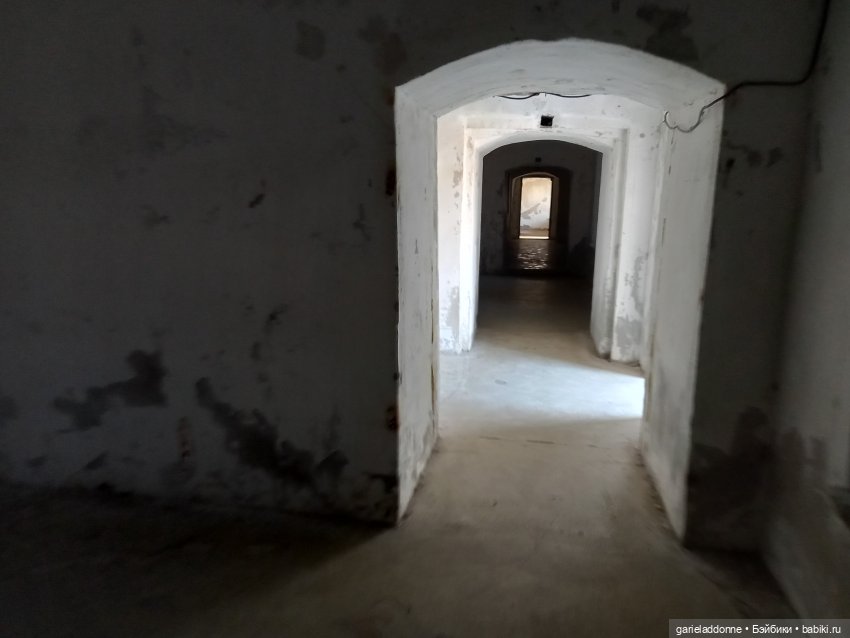 Зверь из Туанки (продолжение)