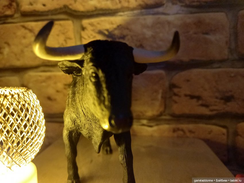 Зверь из Туанки (продолжение) (фото 2)