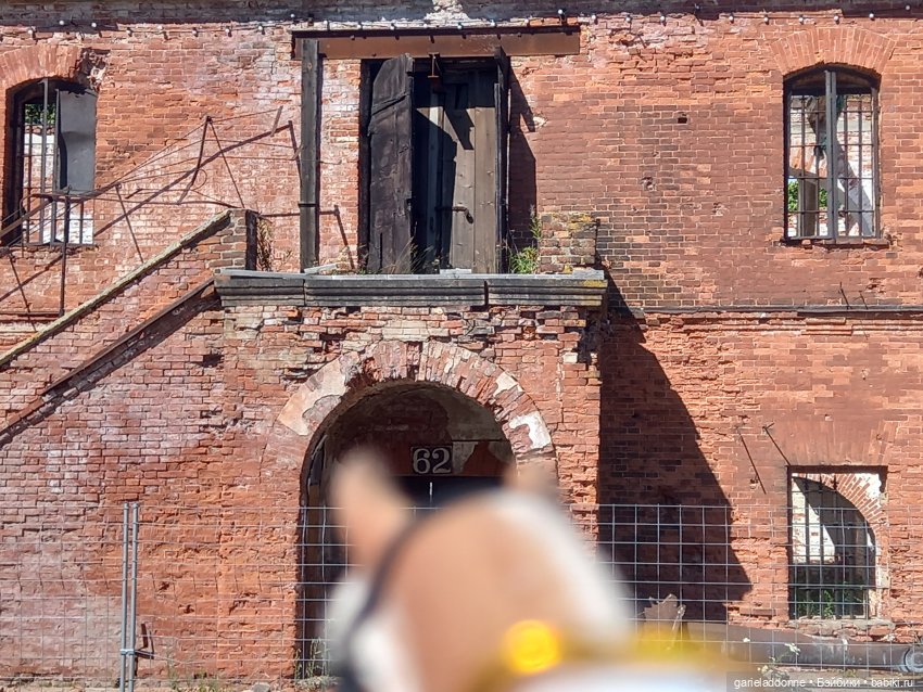 Зверь из Туанки (продолжение)