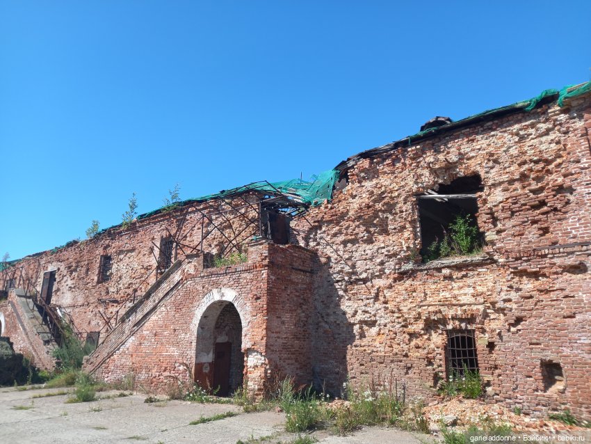 Зверь из Туанки (продолжение)