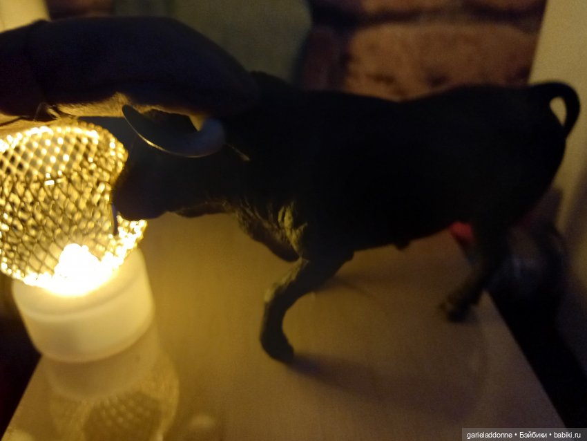 Зверь из Туанки (продолжение)