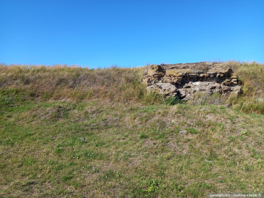 Зверь из Туанки (продолжение)