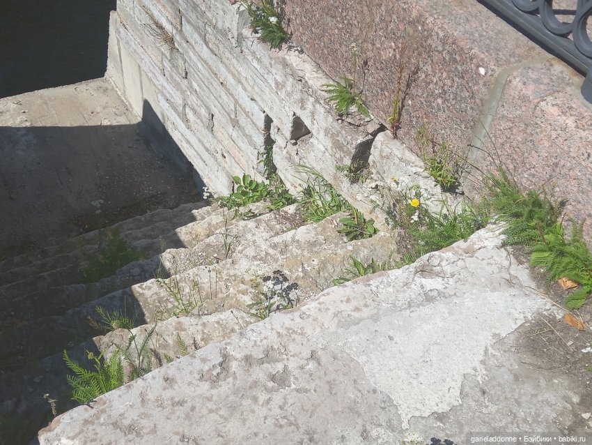 Зверь из Туанки (продолжение)