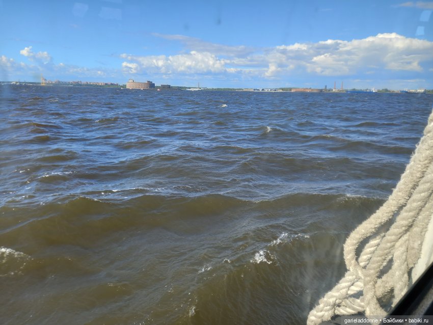 Зверь из Туанки (продолжение)