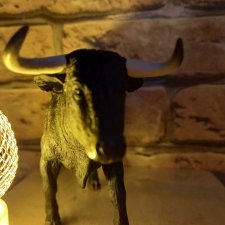 Зверь из Туанки (продолжение)