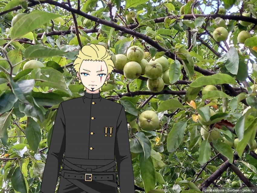 Зверь из Туанки (заключительная часть) (фото 2)