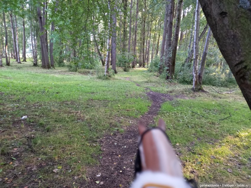 Зверь из Туанки (заключительная часть)