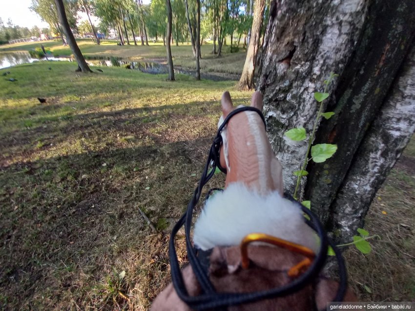 Зверь из Туанки (заключительная часть)