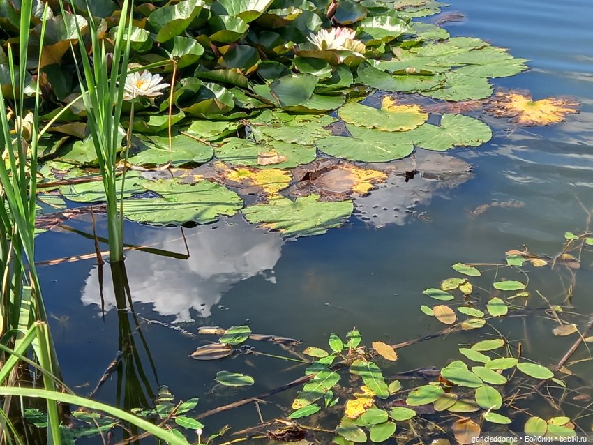 Унция амброзии — Зарисовки из кукольной жизни: фотоистории