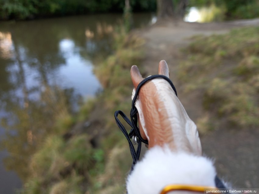 Унция амброзии — Зарисовки из кукольной жизни: фотоистории (фото 4)