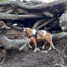 Унция амброзии