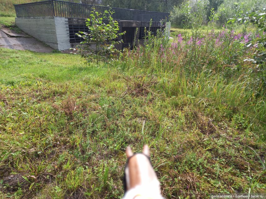 Унция амброзии часть 2. Дама из озера