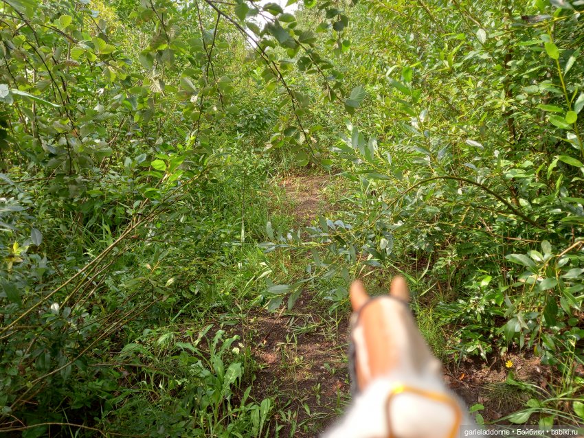 Унция амброзии часть 2. Дама из озера