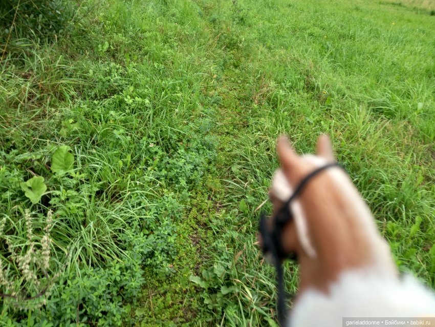 Унция амброзии часть 2. Дама из озера