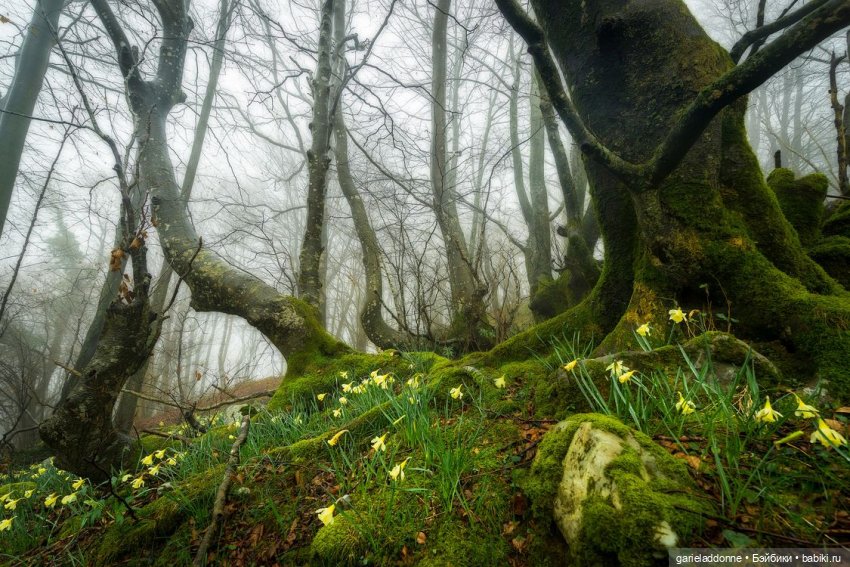 Очень странное утро Ислин (фото 9)